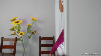 Botched Doggy Door