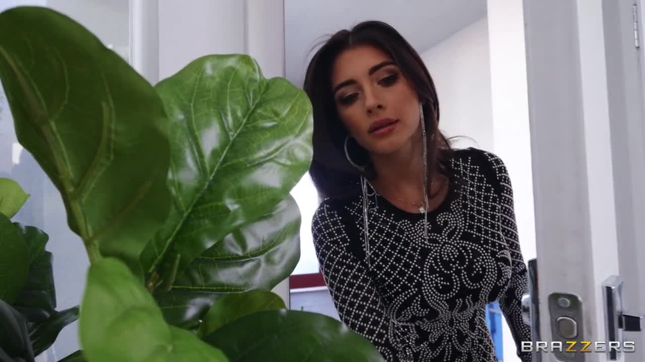 Post Party Cumdown (34:20) | ePornFresh.