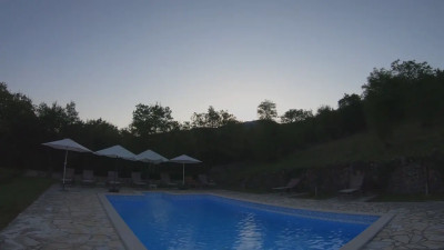 Cherry’s Playful Pool Time