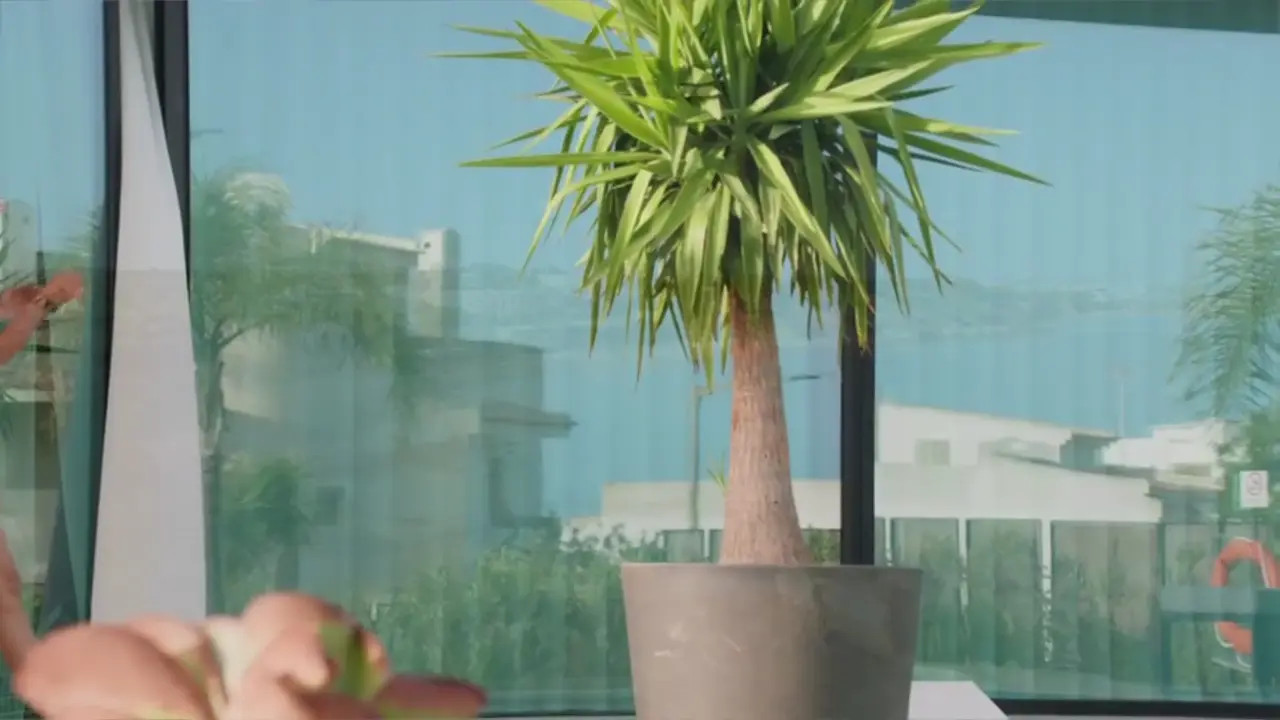 In Blume Third Entry (40:11) | ePornFresh.