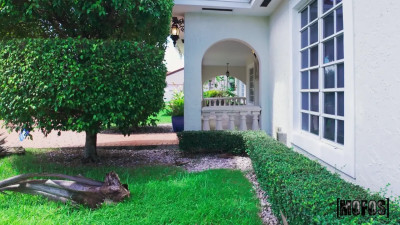The Package Thief