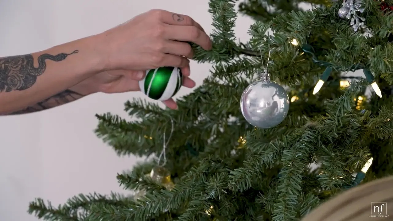 The Best Christmas Gift (32:52) | ePornFresh.