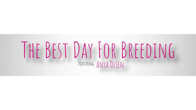 The Best Day For Breeding