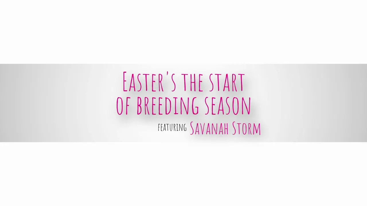 Easters The Start Of Breeding Season (30:46) | ePornFresh.