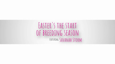 Easters The Start Of Breeding Season