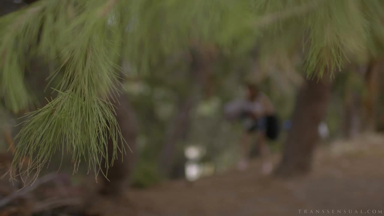 TS Taboo 7 - Scene 1 (36:35) | ePornFresh.