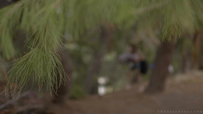 TS Taboo 7 - Scene 1