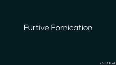 Furtive Fornication